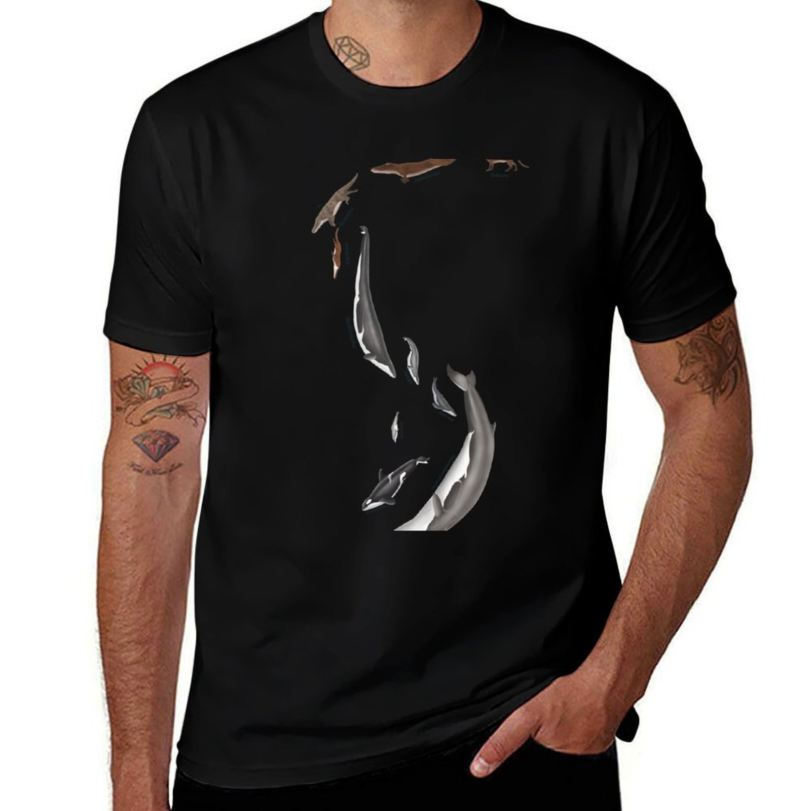 Street Fashion Evolution - Evolusi ikan paus - ikan paus